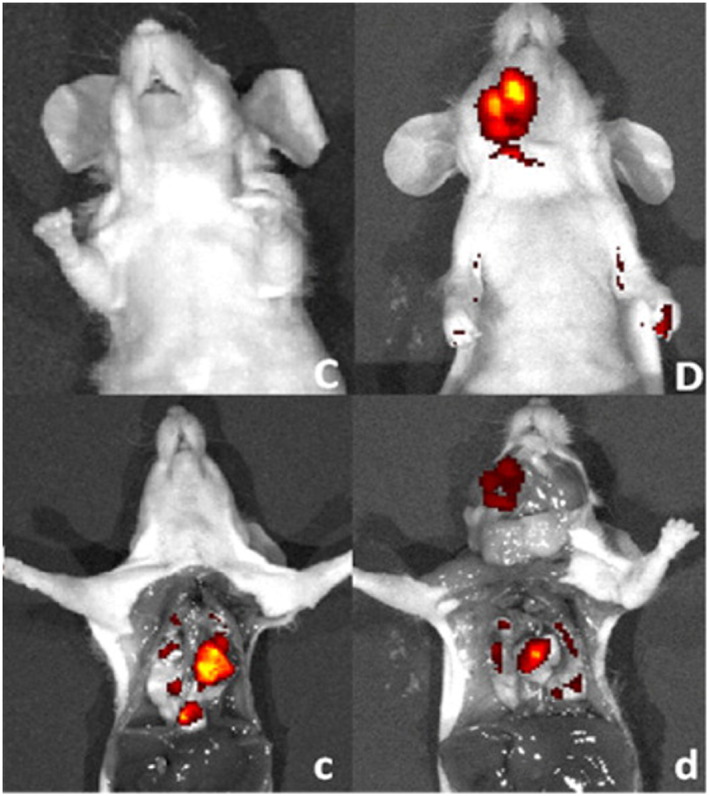 Figure 16