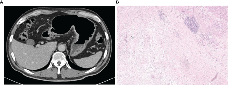 Figure 7