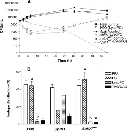 FIG. 6.