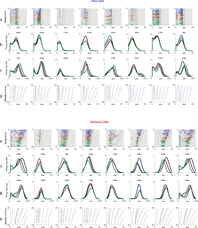 Figure 2—figure supplement 1.