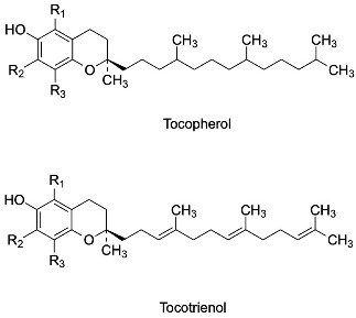 graphic file with name antioxidants-13-00035-i003.jpg