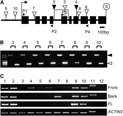 Figure 2.