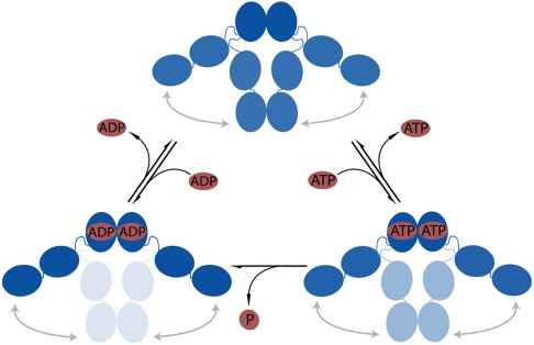 Fig. 8.