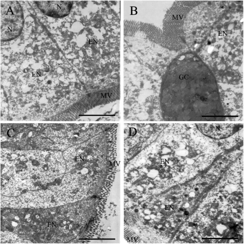 Fig. 7