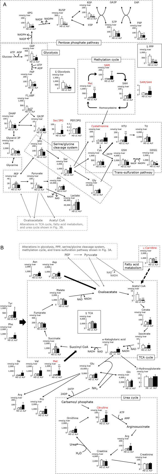 Fig. 3.