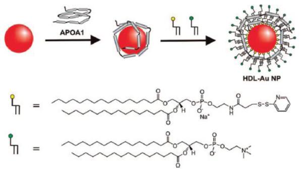 Figure 10