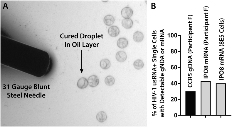 Fig. 8