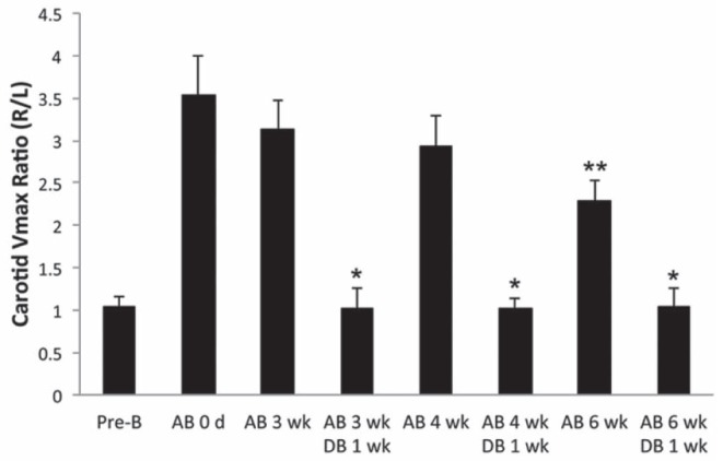 Figure 3)