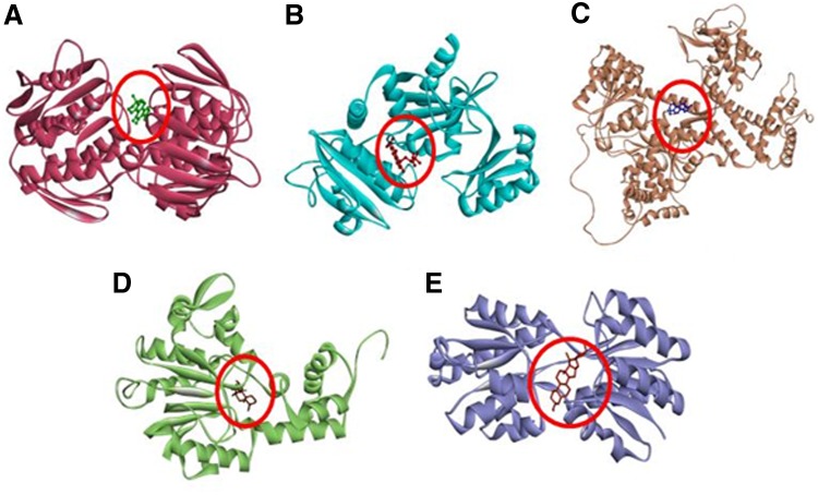 FIG. 1.