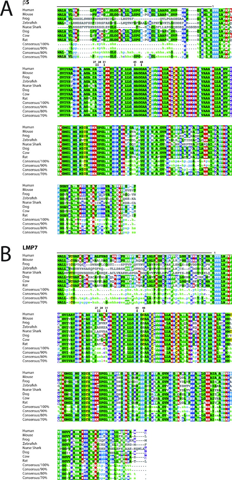 Figure 4—figure supplement 2.