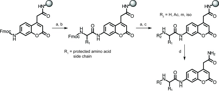 Figure 2—figure supplement 3.