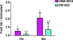 Figure 5—figure supplement 1.