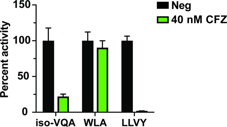 Figure 3—figure supplement 3.