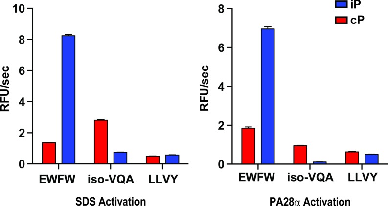 Figure 2—figure supplement 4.