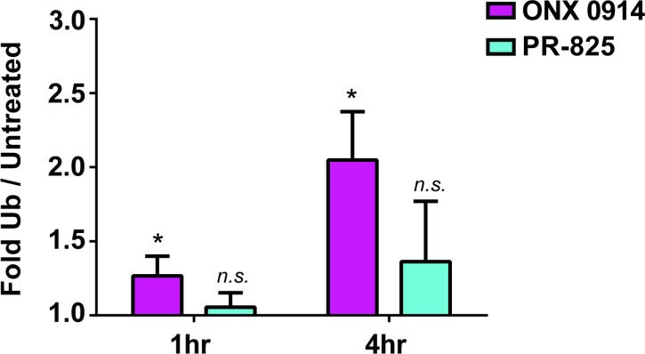 Figure 5—figure supplement 1.