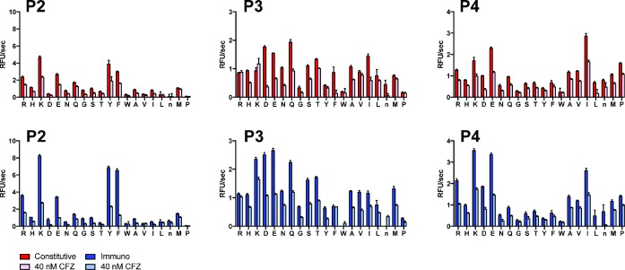 Figure 2—figure supplement 2.