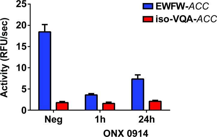 Figure 5—figure supplement 2.