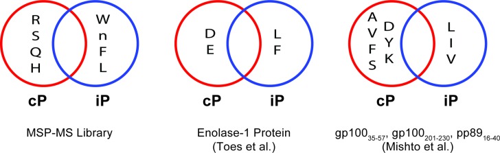 Figure 1—figure supplement 4.