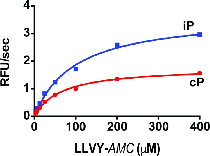 Figure 3—figure supplement 1.