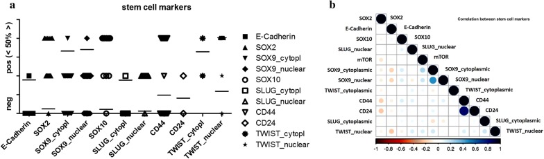 Fig. 7