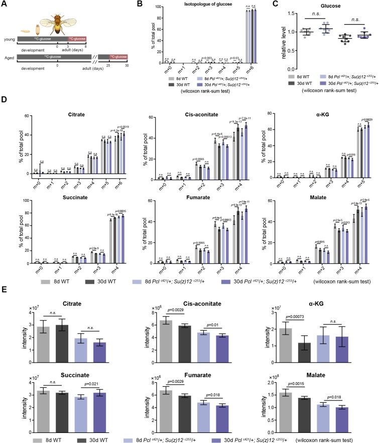 Figure 6—figure supplement 2.