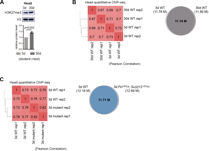 Figure 4—figure supplement 1.