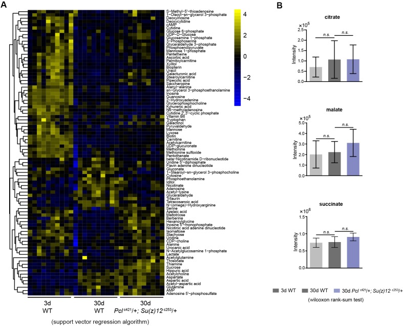 Figure 6—figure supplement 1.