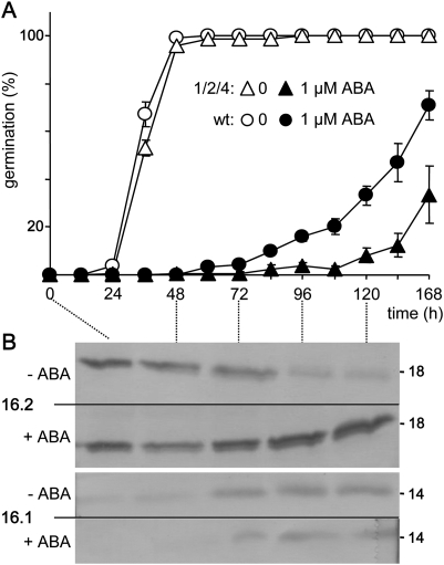 Fig. 6.