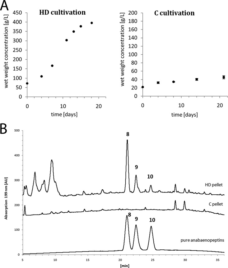 FIG 6