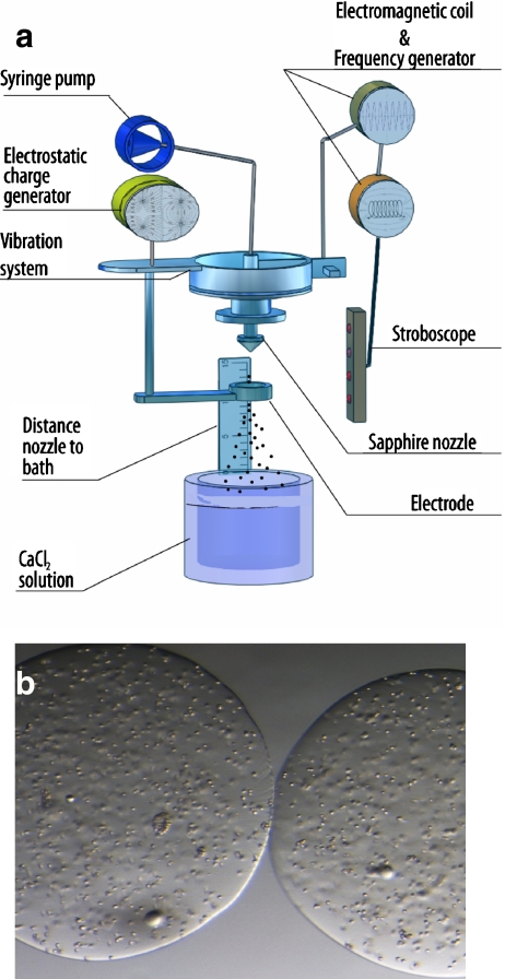 Fig. 3