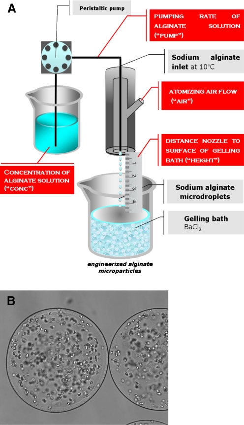 Fig. 4