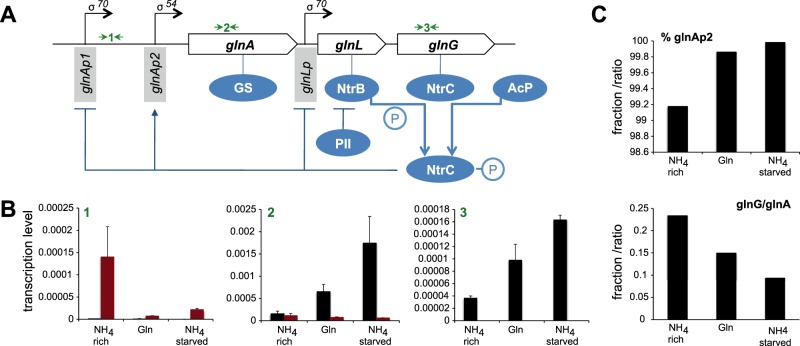 FIG 3 