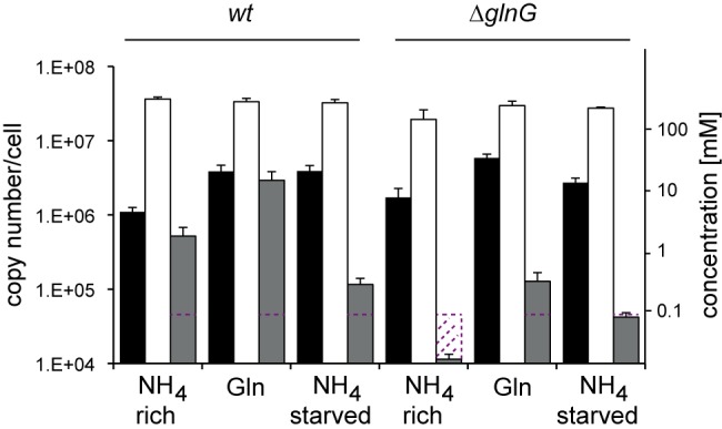 FIG 2 