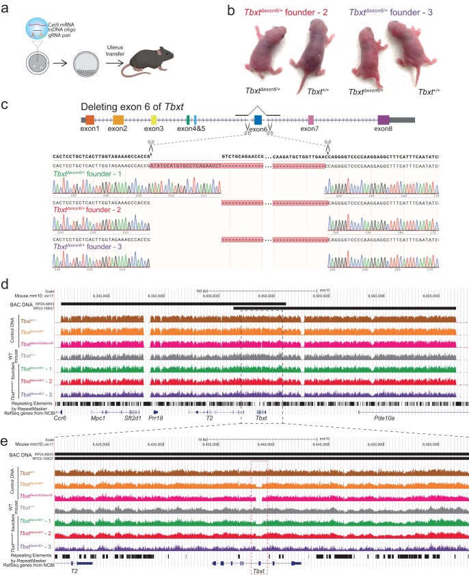 Extended Data Fig. 5