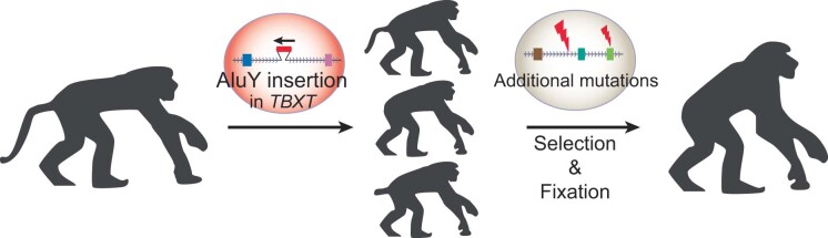 Extended Data Fig. 10