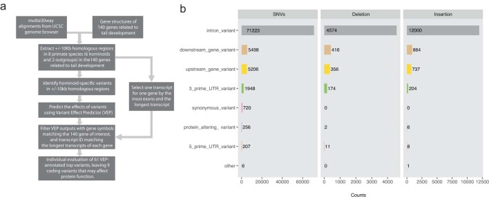 Extended Data Fig. 1