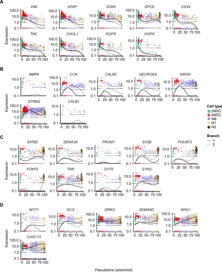 Figure 4—figure supplement 2.