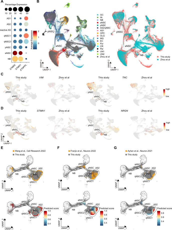 Figure 6—figure supplement 3.