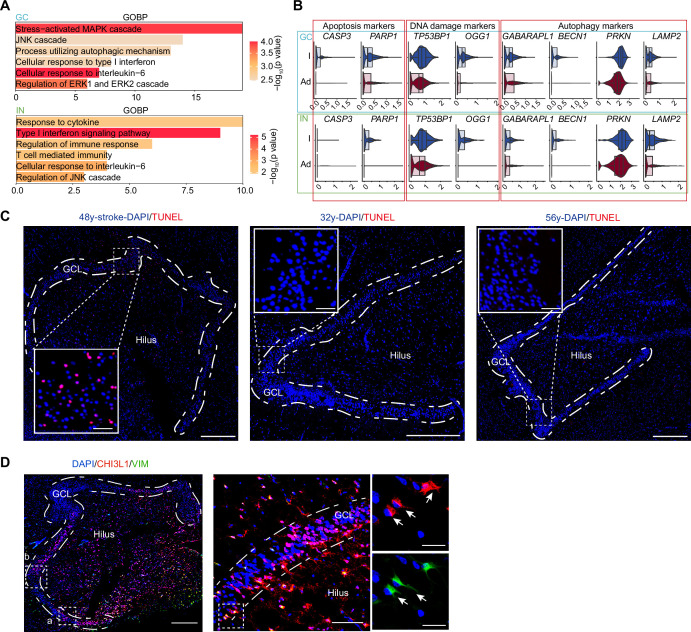 Figure 6—figure supplement 1.