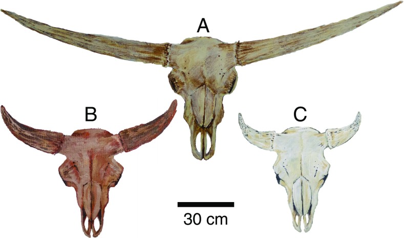 Fig. 2.