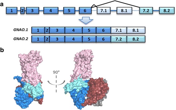 Fig. 8