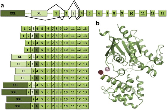 Fig. 10