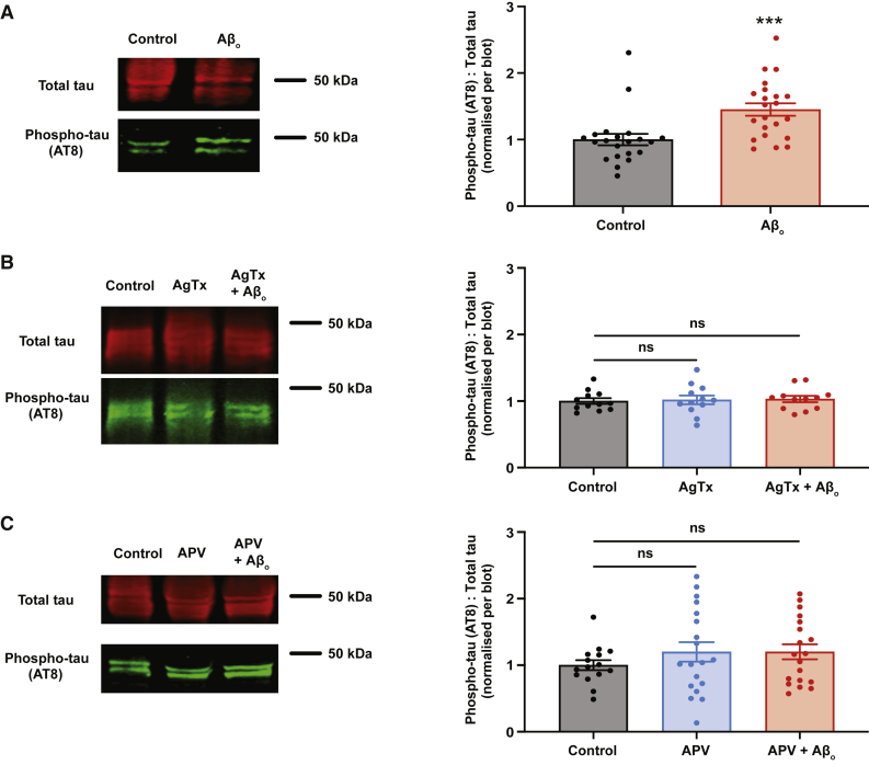 Figure 2