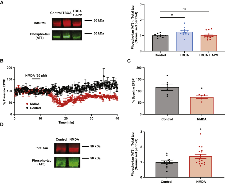 Figure 3