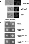 FIG. 8.