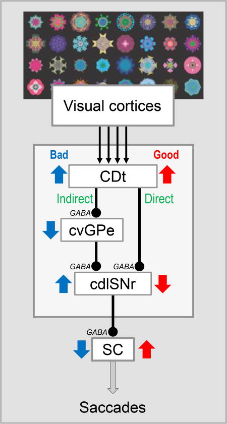 graphic file with name nihms945716u1.jpg