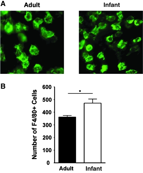 FIG. 5.