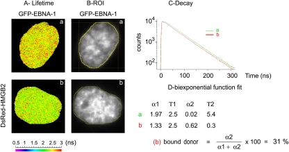 Fig 8