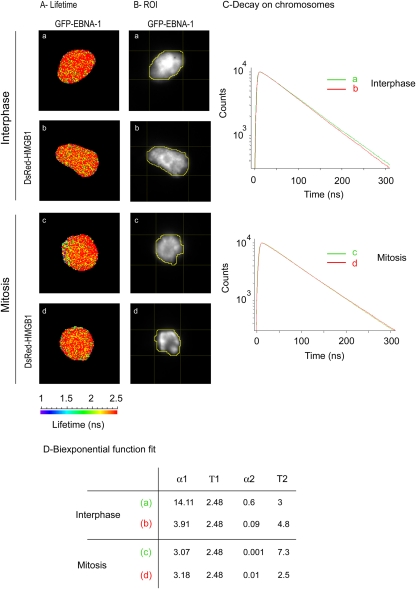 Fig 11