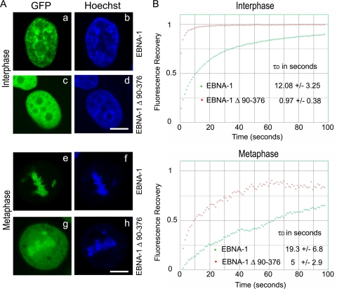 Fig 13